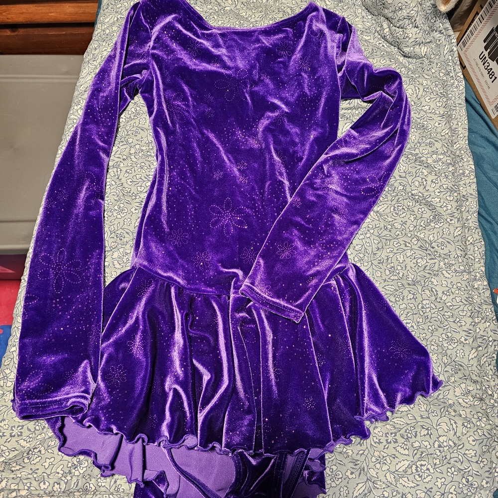 Purple Velvet Long Sleeve Dress
